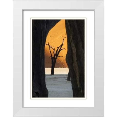 Trees and dunes, Dead Vlei, Sossusvlei, Namibia White Modern Wood Framed Art Print with Double Matting by Kaveney, Wendy