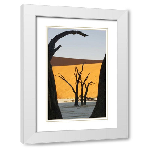 Trees and dunes, Dead Vlei, Sossusvlei, Namibia White Modern Wood Framed Art Print with Double Matting by Kaveney, Wendy