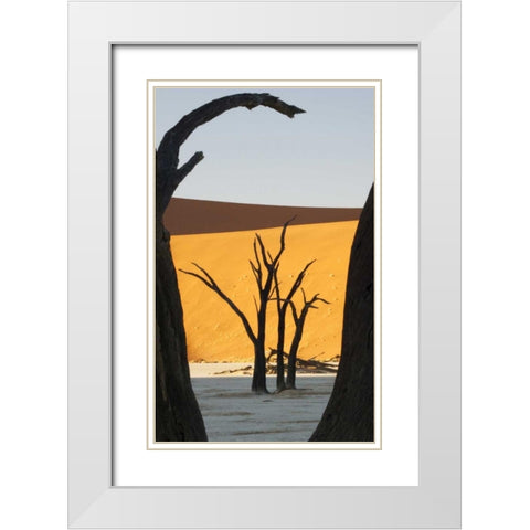 Trees and dunes, Dead Vlei, Sossusvlei, Namibia White Modern Wood Framed Art Print with Double Matting by Kaveney, Wendy