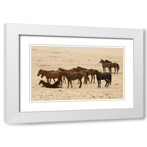 Namibia, Aus Wild horses on the Namib Desert White Modern Wood Framed Art Print with Double Matting by Kaveney, Wendy