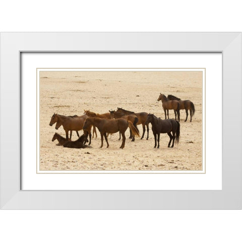 Namibia, Aus Wild horses on the Namib Desert White Modern Wood Framed Art Print with Double Matting by Kaveney, Wendy