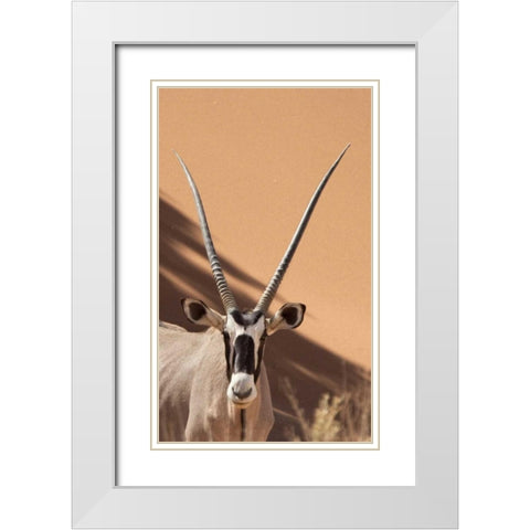 Namibia, Sossusvlei, Namib-Naukluft Park Oryx White Modern Wood Framed Art Print with Double Matting by Kaveney, Wendy