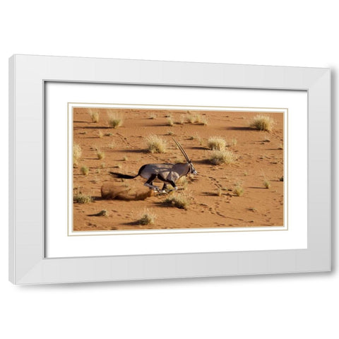 Namibia, Sossusvlei Aerial of running oryx White Modern Wood Framed Art Print with Double Matting by Kaveney, Wendy