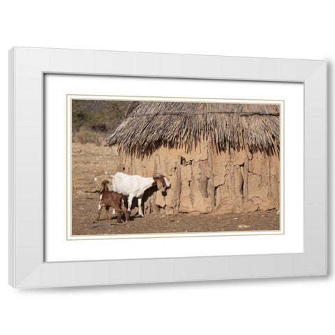 Namibia, Opuwo A pair of goats and Himba mud hut White Modern Wood Framed Art Print with Double Matting by Kaveney, Wendy