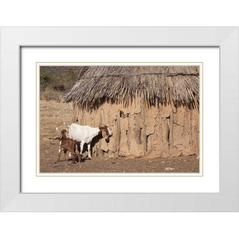 Namibia, Opuwo A pair of goats and Himba mud hut White Modern Wood Framed Art Print with Double Matting by Kaveney, Wendy