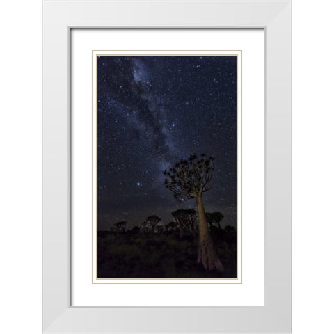 Namibia Milky Way and quiver trees at night White Modern Wood Framed Art Print with Double Matting by Kaveney, Wendy