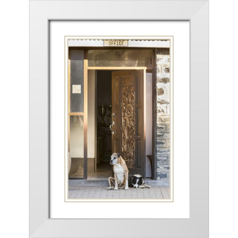 Africa, Namibia Dogs at door entrance White Modern Wood Framed Art Print with Double Matting by Kaveney, Wendy