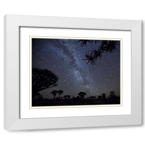 Namibia Milky Way and quiver trees at night White Modern Wood Framed Art Print with Double Matting by Kaveney, Wendy