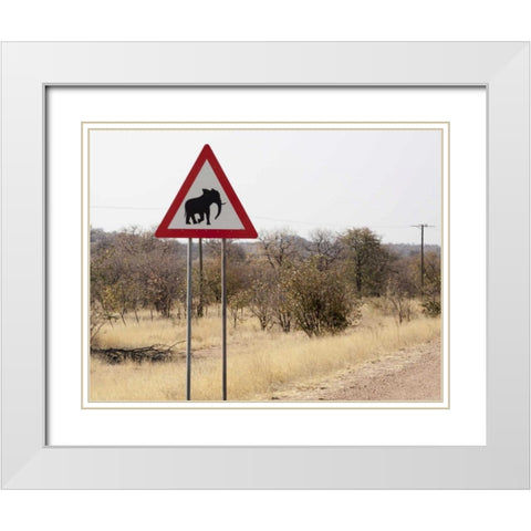 Namibia, Damaraland Sign warning about elephants White Modern Wood Framed Art Print with Double Matting by Kaveney, Wendy
