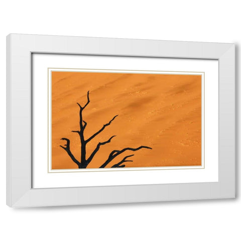 Namibia, Dead Vlei Tree branches and sand dune White Modern Wood Framed Art Print with Double Matting by Kaveney, Wendy
