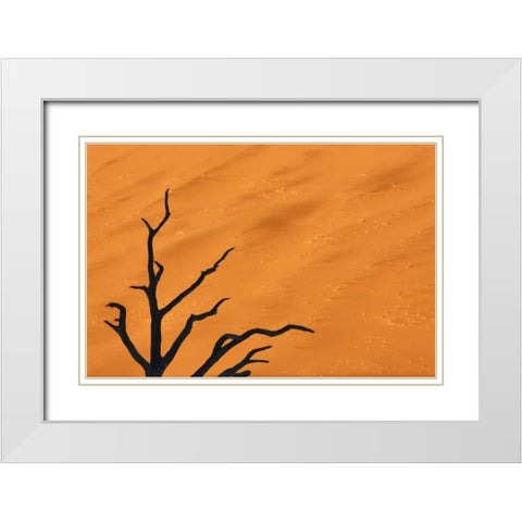 Namibia, Dead Vlei Tree branches and sand dune White Modern Wood Framed Art Print with Double Matting by Kaveney, Wendy