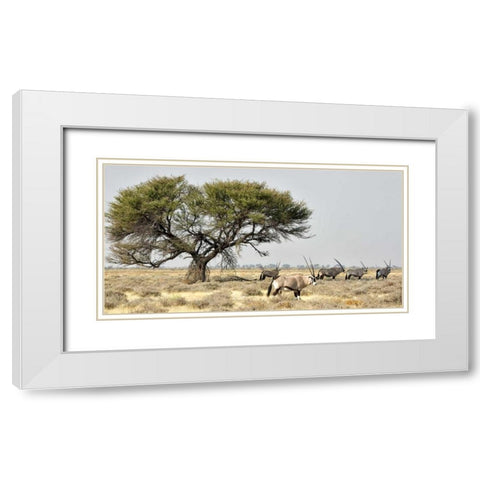 Africa, Namibia, Etosha NP Five Oryx and tree White Modern Wood Framed Art Print with Double Matting by Kaveney, Wendy