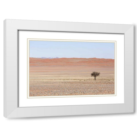 Namibia, Namib Desert Lone tree in orange desert White Modern Wood Framed Art Print with Double Matting by Kaveney, Wendy