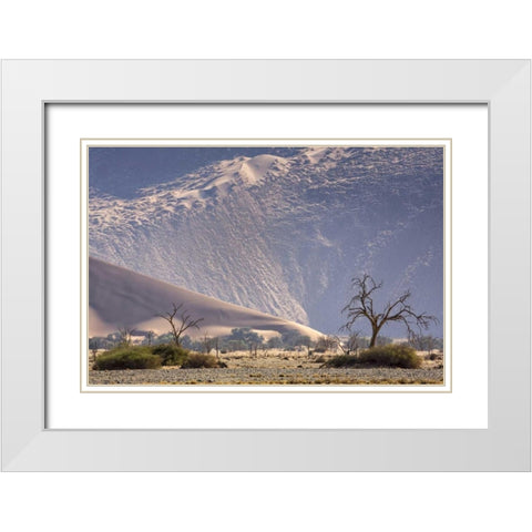 Namibia, Namib-Naukluft Sand dunes and trees White Modern Wood Framed Art Print with Double Matting by Kaveney, Wendy