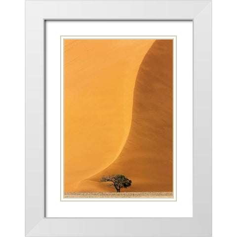 Namibia, Namib-Naukluft Park Sand dune and tree White Modern Wood Framed Art Print with Double Matting by Kaveney, Wendy