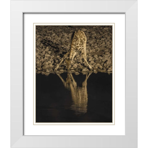 Namibia, Etosha NP Drinking giraffe at night White Modern Wood Framed Art Print with Double Matting by Kaveney, Wendy