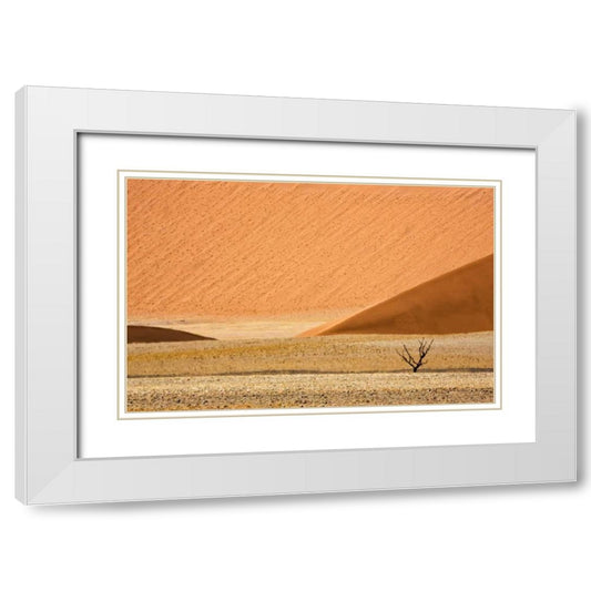 Perspective Image