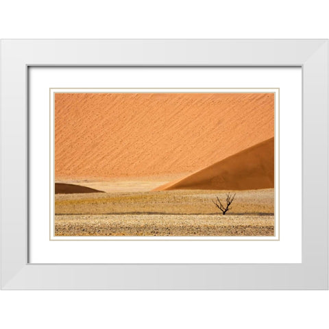 Namibia, Namib-Naukluft Sand dunes and dead tree White Modern Wood Framed Art Print with Double Matting by Kaveney, Wendy