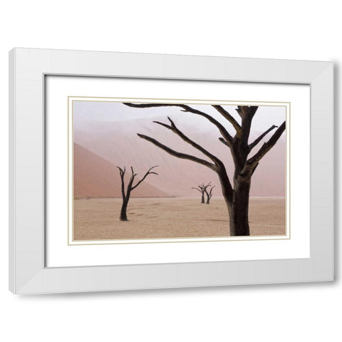 Namibia, Namib-Naukluft, Deadvlei Misty Morning White Modern Wood Framed Art Print with Double Matting by Kaveney, Wendy