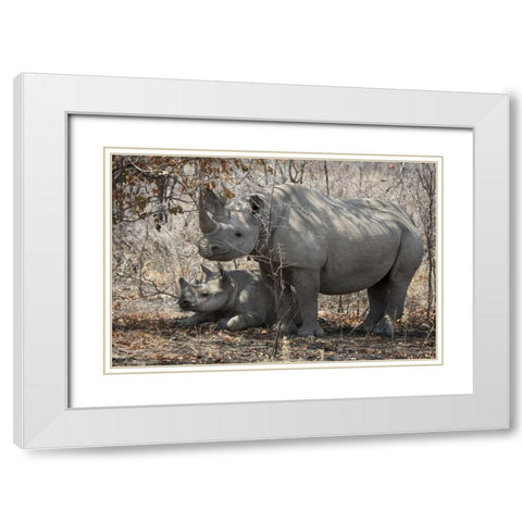 Namibia, Etosha NP Rhinoceros and baby in shade White Modern Wood Framed Art Print with Double Matting by Kaveney, Wendy