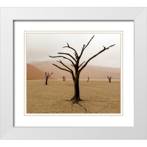 Namibia, Deadvlei Unusual rainy weather White Modern Wood Framed Art Print with Double Matting by Kaveney, Wendy