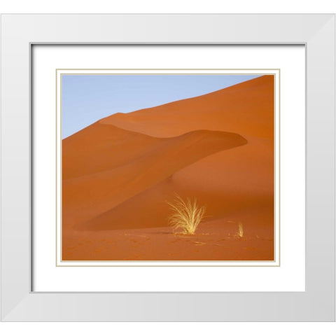 Namibia, Namib-Naukluft Park Grass and sand dune White Modern Wood Framed Art Print with Double Matting by Kaveney, Wendy