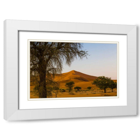 Namibia, Namib-Naukluft NP Trees and sand dune White Modern Wood Framed Art Print with Double Matting by Young, Bill
