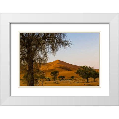 Namibia, Namib-Naukluft NP Trees and sand dune White Modern Wood Framed Art Print with Double Matting by Young, Bill