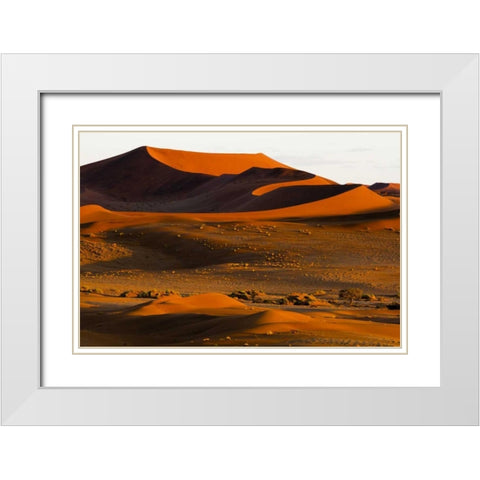 Namibia, Namib-Naukluft NP Abstract of sand dune White Modern Wood Framed Art Print with Double Matting by Young, Bill