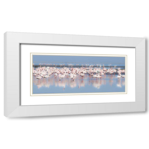 Namibia, Walvis Bay Group of greater flamingos White Modern Wood Framed Art Print with Double Matting by Young, Bill