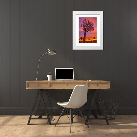 Africa-Namibia-Quiver trees at sunset White Modern Wood Framed Art Print with Double Matting by Jaynes Gallery