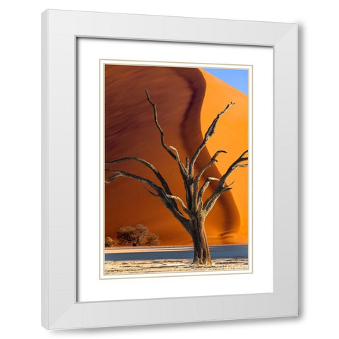 Namibia-Sossusvlei-Namib-Naukluft National Park-Composite of dead tree and sand dune White Modern Wood Framed Art Print with Double Matting by Jaynes Gallery