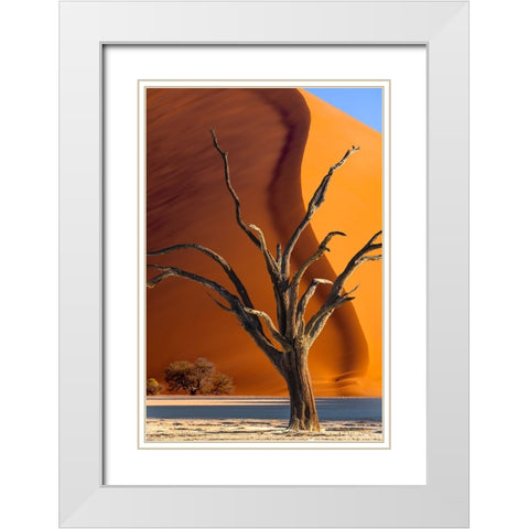 Namibia-Sossusvlei-Namib-Naukluft National Park-Composite of dead tree and sand dune White Modern Wood Framed Art Print with Double Matting by Jaynes Gallery
