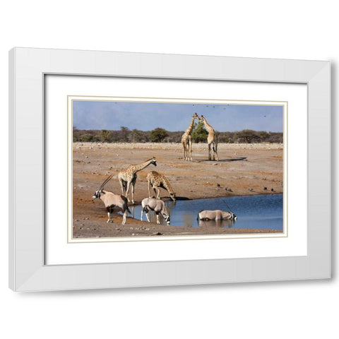 Namibia, Etosha NP Oryx and giraffe at Chudop White Modern Wood Framed Art Print with Double Matting by Young, Bill