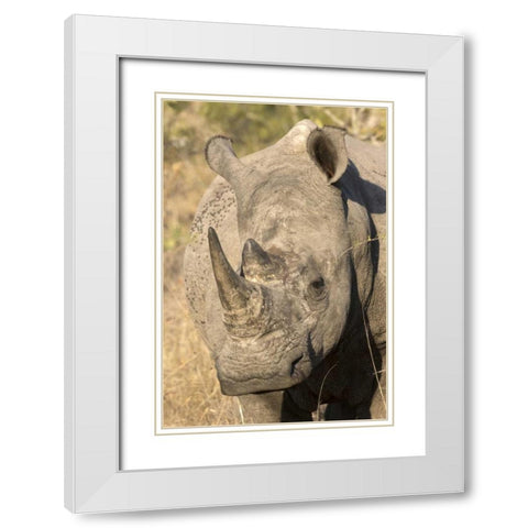 Hawaii Waves breaking on a black sand beach White Modern Wood Framed Art Print with Double Matting by Zuckerman, Jim