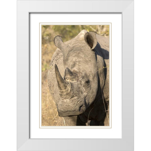 Hawaii Waves breaking on a black sand beach White Modern Wood Framed Art Print with Double Matting by Zuckerman, Jim