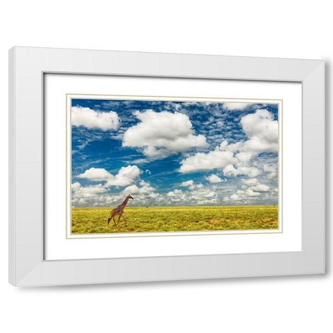 Masai Giraffe on open plains of Serengeti National Park-Tanzania-Africa-Giraffa White Modern Wood Framed Art Print with Double Matting by Jones, Adam