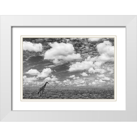 Masai Giraffe on open plains of Serengeti National Park-Tanzania-Africa-Giraffa White Modern Wood Framed Art Print with Double Matting by Jones, Adam