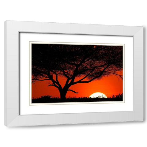 Tree silhouetted at sunset on the vast plains of Serengeti National Park-Tanzania-Africa White Modern Wood Framed Art Print with Double Matting by Jones, Adam