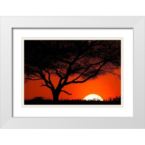 Tree silhouetted at sunset on the vast plains of Serengeti National Park-Tanzania-Africa White Modern Wood Framed Art Print with Double Matting by Jones, Adam