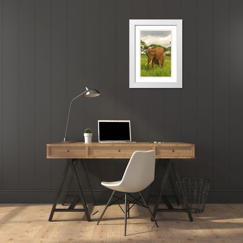 Africa-Tanzania-Tarangire National Park African elephant close-up  White Modern Wood Framed Art Print with Double Matting by Jaynes Gallery