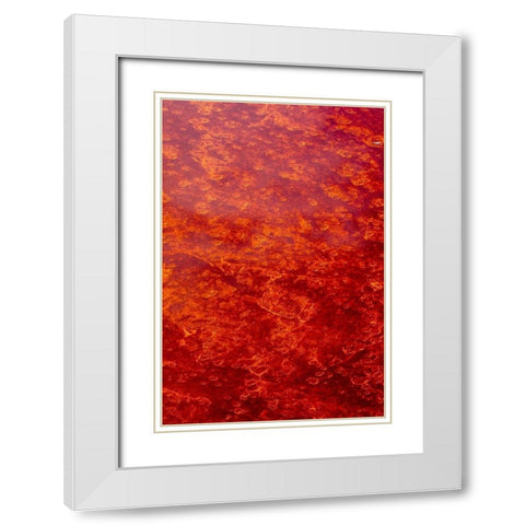 Africa-Tanzania-Aerial view of patterns of red algae and salt formations in shallow salt waters White Modern Wood Framed Art Print with Double Matting by Souders, Paul