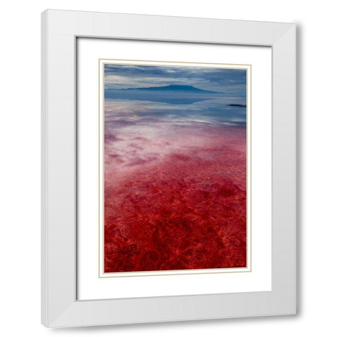 Africa-Tanzania-Enhanced contrast aerial view of patterns of red algae and salt formations  White Modern Wood Framed Art Print with Double Matting by Souders, Paul