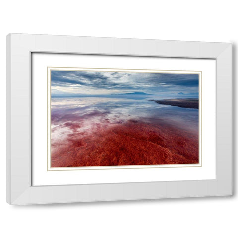 Africa-Tanzania-Enhanced contrast aerial view of patterns of red algae and salt formations White Modern Wood Framed Art Print with Double Matting by Souders, Paul