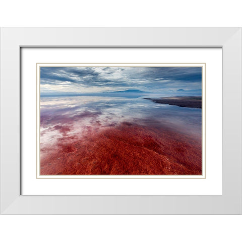 Africa-Tanzania-Enhanced contrast aerial view of patterns of red algae and salt formations White Modern Wood Framed Art Print with Double Matting by Souders, Paul