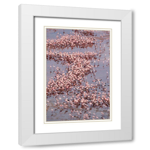 Africa-Tanzania-Aerial view of vast flock of Lesser Flamingos nesting in shallow salt waters White Modern Wood Framed Art Print with Double Matting by Souders, Paul