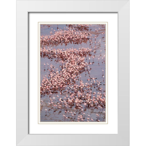 Africa-Tanzania-Aerial view of vast flock of Lesser Flamingos nesting in shallow salt waters White Modern Wood Framed Art Print with Double Matting by Souders, Paul