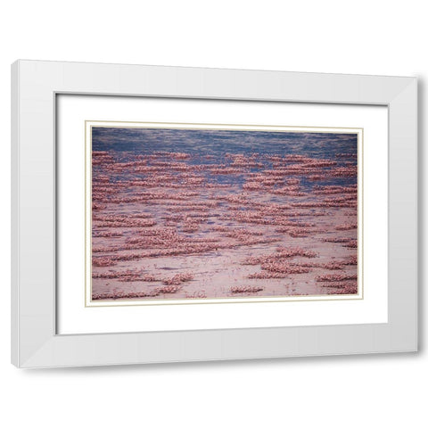 Africa-Tanzania-Aerial view of vast flock of Lesser Flamingos nesting in shallow salt waters White Modern Wood Framed Art Print with Double Matting by Souders, Paul