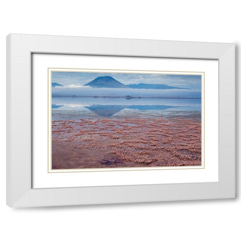 Africa-Tanzania-Aerial view of Ol Doinyo Lengai volcano looming above vast flock White Modern Wood Framed Art Print with Double Matting by Souders, Paul