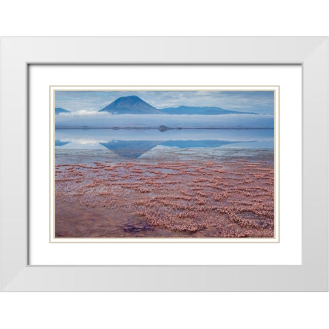 Africa-Tanzania-Aerial view of Ol Doinyo Lengai volcano looming above vast flock White Modern Wood Framed Art Print with Double Matting by Souders, Paul